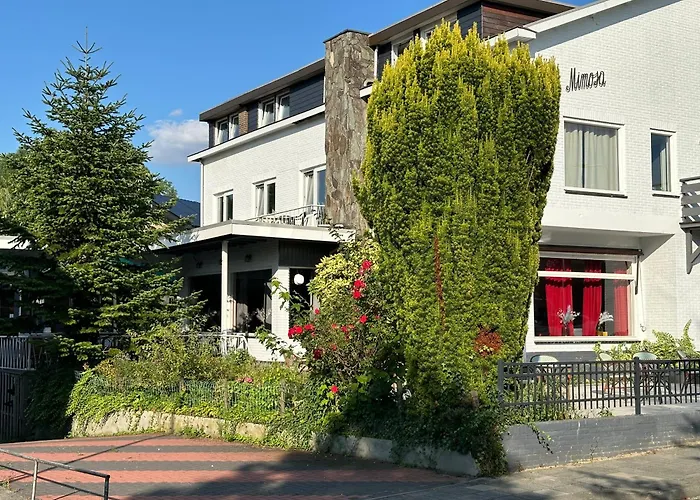 Mimosa 3* Valkenburg aan de Geul