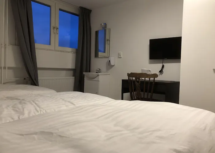 Отель Mimosa 3*