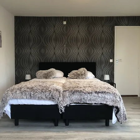 Hotel Mimosa 3*